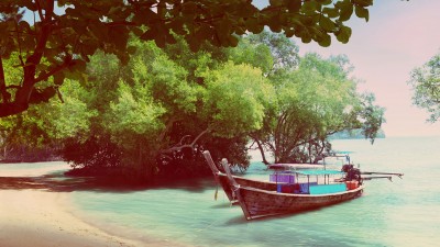 tree-in-water-and-long-boats.jpg