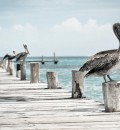 Pier 10