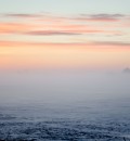 Fog 14