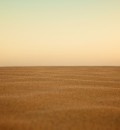 Desert 15