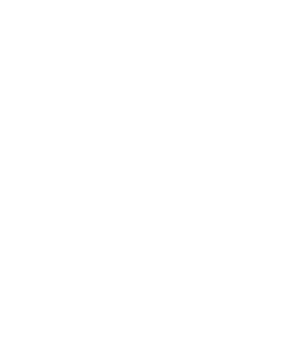 Meelo Icon