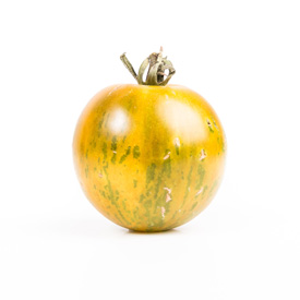 Round Tomato