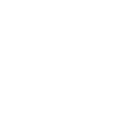 viserhyip