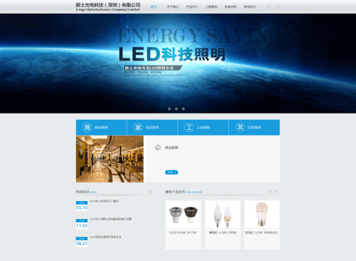 朗士光电科技(深圳)有限公司网站建设项目--