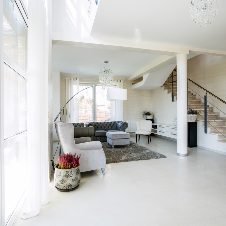 Luxurious and spacious living room