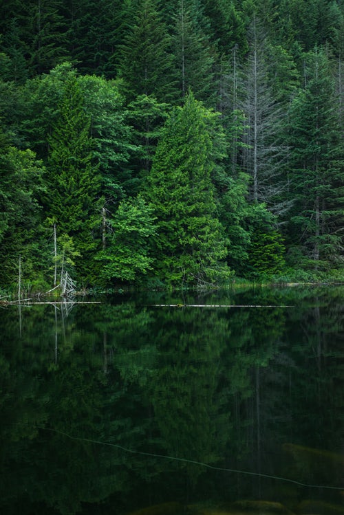 Brohm Lake